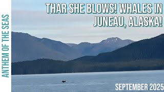 Glaciers and Whales in Juneau! / Alaska Cruise 2025 / Anthem of the Seas / Cruise Vlog Day 3