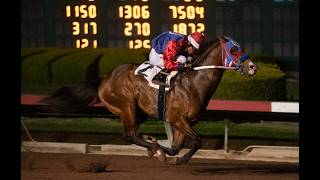 Los Alamitos Full Card Stream - Saturday, August 15