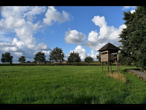 #18 Westrozebeke, walk to the village and forest - Belgium 🇧🇪