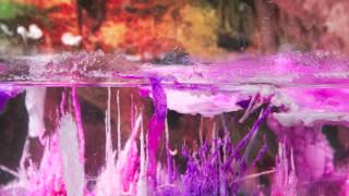 Celestial Shore - "Stairs Under Stars"