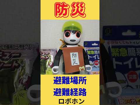 どの低木が鳥を惹きつけるでしょうか？冬には避難場所と避難場所の両方を提供する 5 種以上の種  庭園