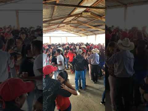 Marimba de San Jose Las flores.