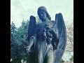Haunted Spooky Graveyard In London Haunted Place Horror Spooky Short Video Clip Qissa Diary
