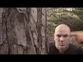 Child Bite "Mongoloid Obsession" starring Phil Anselmo - Official Music Video