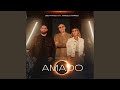 Amado