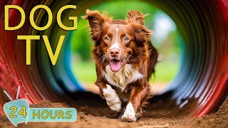 DOG TV: Best Video Entertainment for Anxious Dogs When Home Alone - Music to Keep Your Dogs Happy