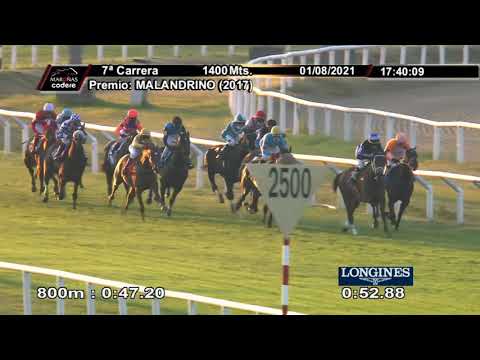 210801 c07 REGISTRADA JOY (ARG)