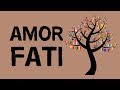 Amor Fati The Stoic Anxiety Hack