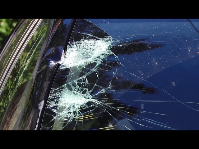 Осторожно, дерево!