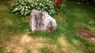 Nic's Paper route Training