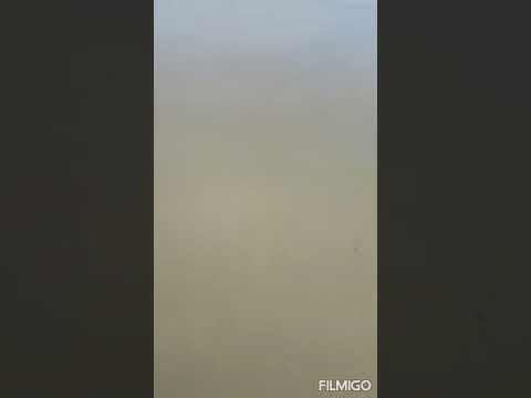 FarNorth 90Mile Surfcasting NZ #KilwellNZ #sunline_japan