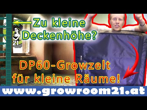 KAUM PLATZ IN DER WOHNUNG? - DAS PERFEKTE GROWZELT FÜR DICH! - #Growroom21