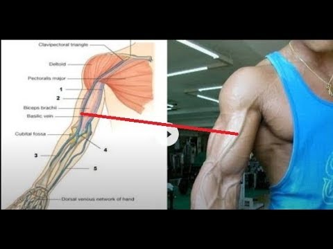Gamitin ang paliguan na may sea salt diyeta Nawala cd para sa pagbaba ng timbang