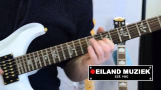 Video thumbnail for PRS Dave Navarro by Eiland Muziek