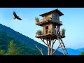 Build A 2 Story Tree House As Beautiful As Dreams Avoid Dangerous Wild Animals