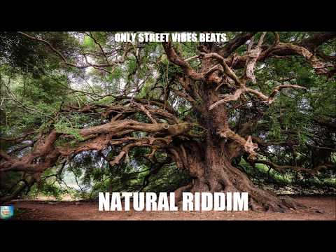 --- Only Vibes Beats *SOLD*Reggae Beat Instrumental - Natural Riddim - Only Street Vibes Beats