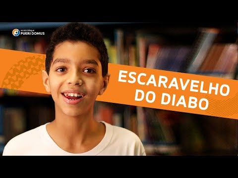 Quem é o Assassino do Escaravelho?