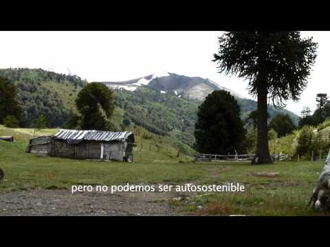 Textile Skills for Mapuche Women in Chile