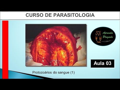 Aprenda Plugado - PARASITOLOGIA - Aula 03