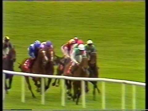 1990 Budweiser Irish Derby
