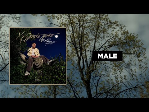 TREDICI PIETRO - MALE (Lyrics)