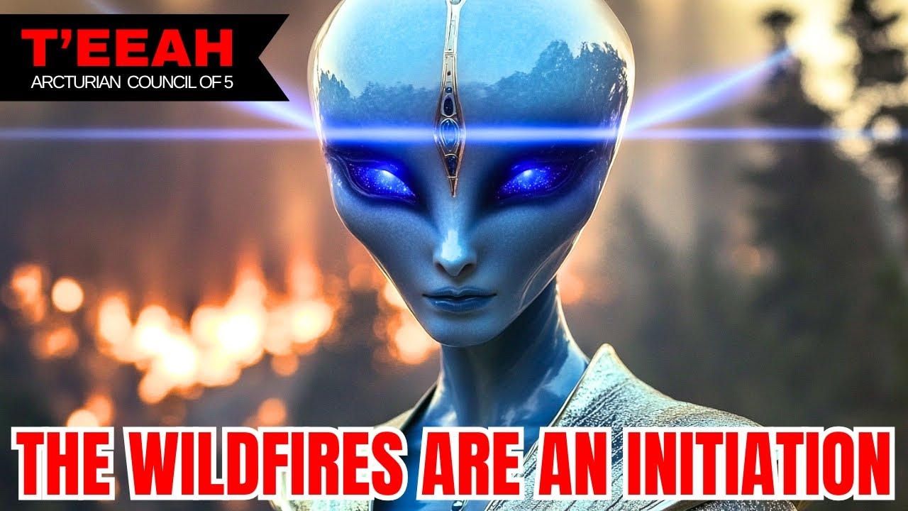 "This Is Just The Beginning..." | The Arcturian Council Of 5 - T'EEAH