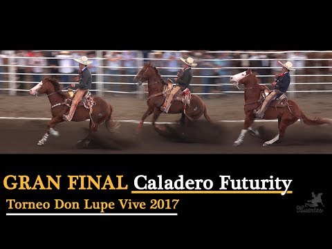 Fishing Grounds Grand Finale Futurity - Don Lupe Vive 2017