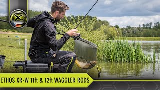 Prut Matrix Ethos XR-W Pellet Waggler 11ft 3.3m 30g