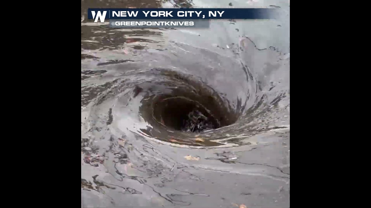 Brooklyn resident unclogs street drain after weekend flooding