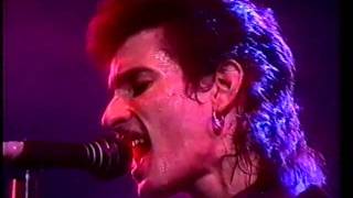 Mink DeVille - You better Move on -  @ Rockpalast Essen 1981