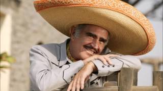 Vicente Fernandez Borracho Sin Cantina - Epicenter