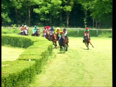 Galopprennbahn Dresden 1.Rennen - 14.05.2011