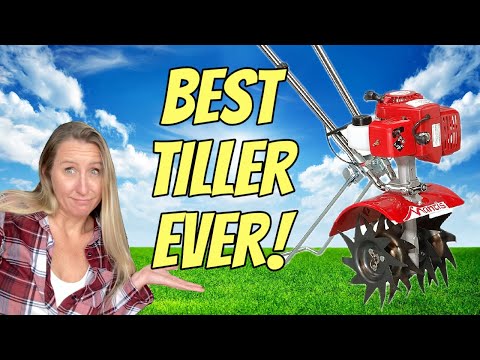 The Best, Most Durable 2 Stroke You Can Buy! My FAVORITE of All Time Machine to Repair!