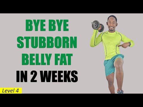 30 Minute Dumbbell Strength Training for Fat Loss Full Body Workout  250 Calories 