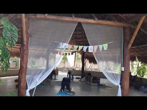 Xochipilli Center, Ayahuasca Cancun Retreat by Aya de La Vid