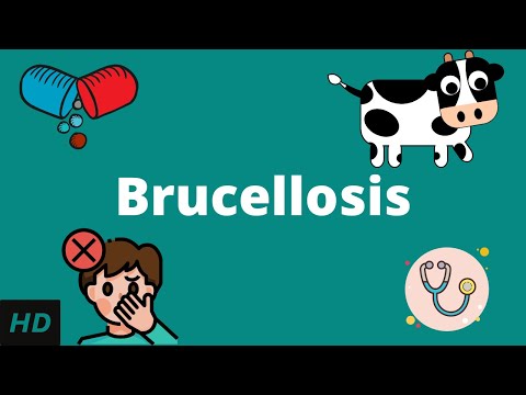 Brucellosis, Causes, Signs and Symptoms, Diagnosis and Treatment.