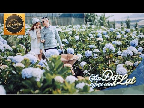 [4K] MV Cover Yêu 5 (BẢN CHÍNH Prewedding - 23.4 Đà Lạt)