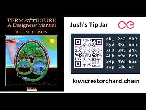 Aeternity crypto rap 2020