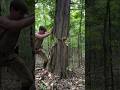 Building A Log Cabin By Hand Part 9 Cabin Logcabin Logger Bushcraft Woodworking Wood Rdr2