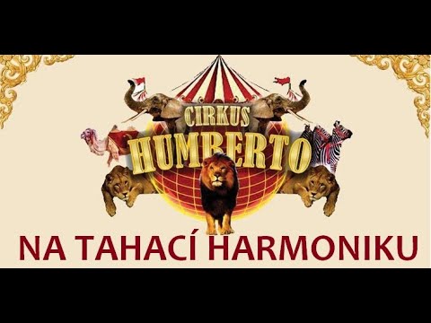 Cirkus Humberto (Krev toulavá) cover na tahací harmoniku