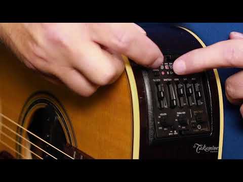 Takamine CTP-3 CoolTube™ Preamplifier