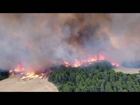 Fotograma del vídeo: Buenas prácticas para realizar quemas agrícolas en Aragón