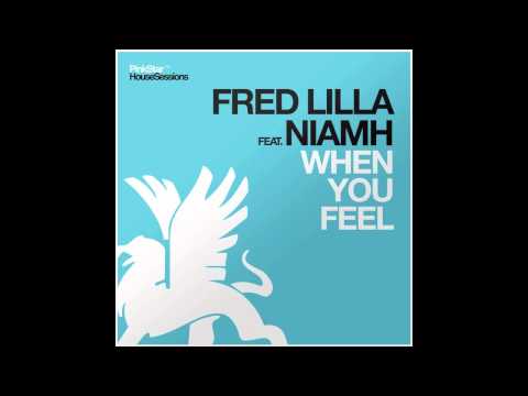 Fred Lilla Feat Nimah Collins - When You Feel (Altego Remix)