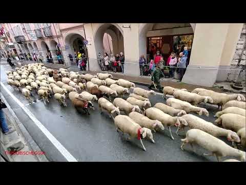 TRANSUMANZA DI PECORE PER LA FIERA DI S. LUCA A DEMONTE (CN) IN VALLE STURA. DOM. 9 - 10 - 2022.