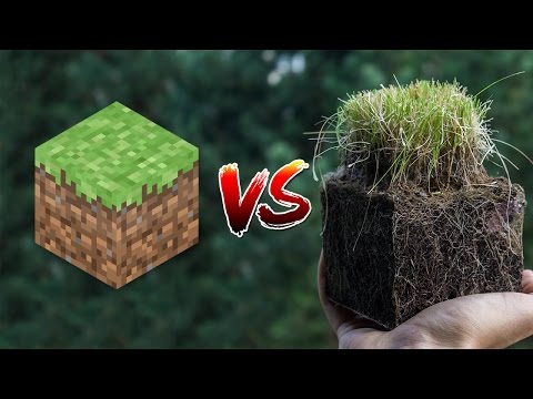 Minecraft vs Real Life
