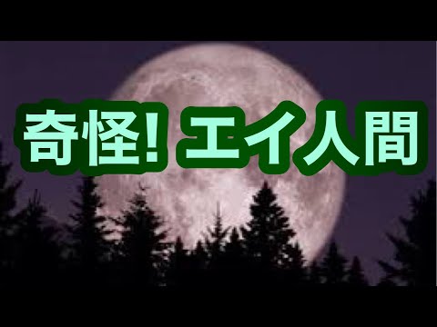シュードフィラウトゥスについて詳しく解説