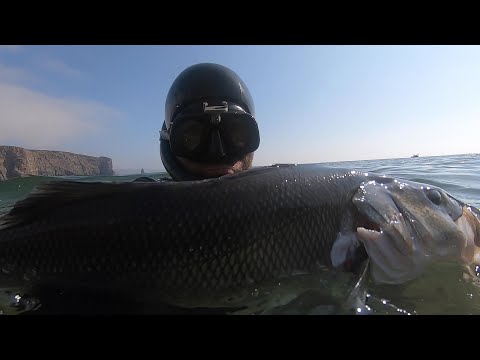 TRAILER - Robalos e Douradas (Verão 2020)  / Sea bass and Gilthead Sea bream (Summer 2020)