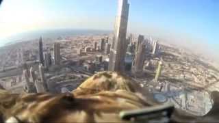 Rishloo - The Water is Fine