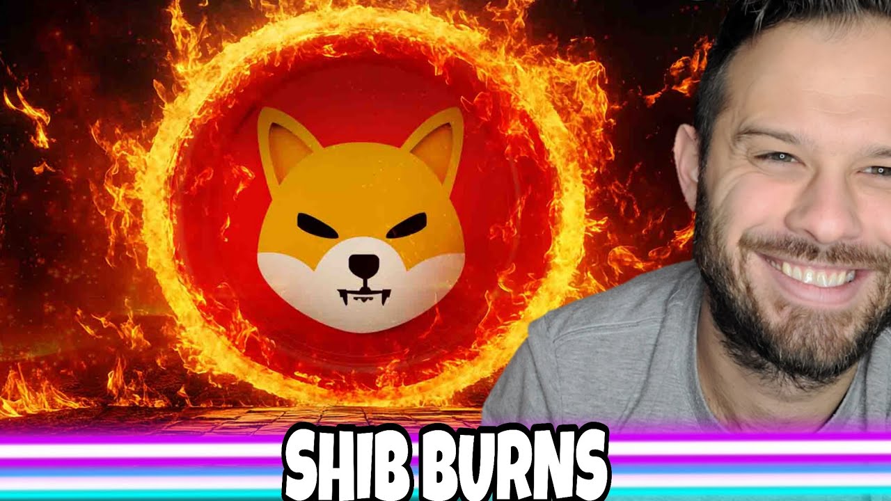 Shiba Inu Coin | SHIB Burns Are Rising, But Is It Enough?
