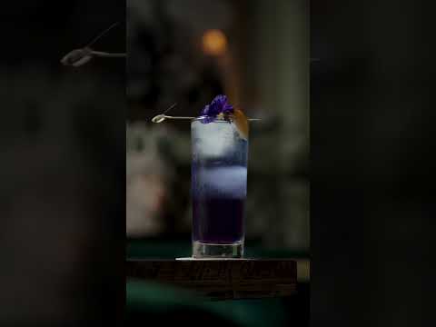 Havana Restaurant — Reel 4